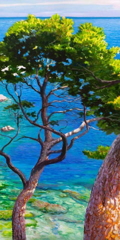 Lavandou II White Modern Wood Framed Art Print with Double Matting by Galasso, Adriano