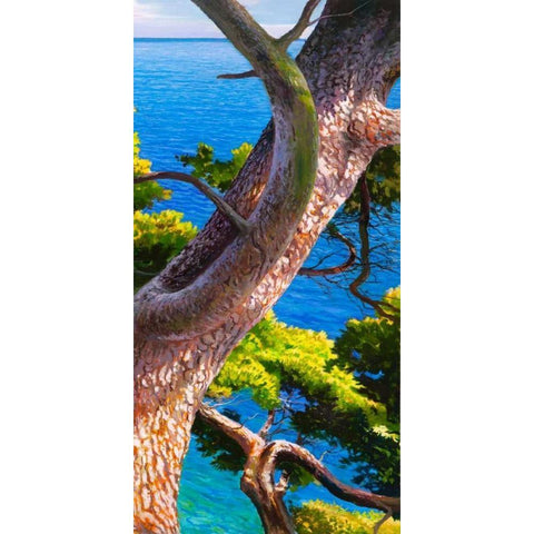 Lavandou III Black Modern Wood Framed Art Print by Galasso, Adriano