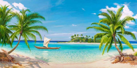 Baia tropicale Black Ornate Wood Framed Art Print with Double Matting by Galasso, Adriano