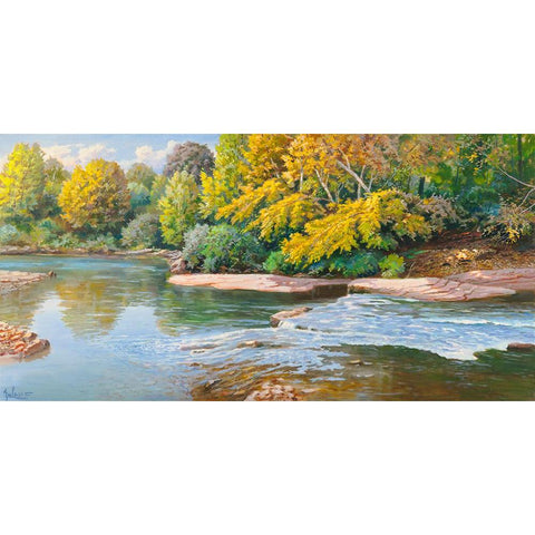 Torrente nei boschi Black Modern Wood Framed Art Print by Galasso, Adriano