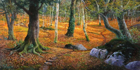 Sottobosco White Modern Wood Framed Art Print with Double Matting by Galasso, Adriano