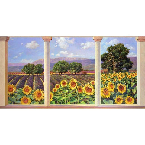 Finestra sui girasoli Black Modern Wood Framed Art Print by Del Missier, Andrea