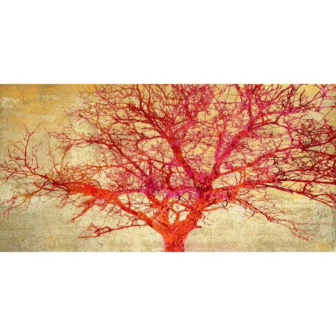 Coral Tree Black Modern Wood Framed Art Print with Double Matting by Aprile, Alessio