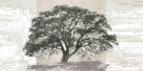 Ash Tree Panel White Modern Wood Framed Art Print with Double Matting by Aprile, Alessio