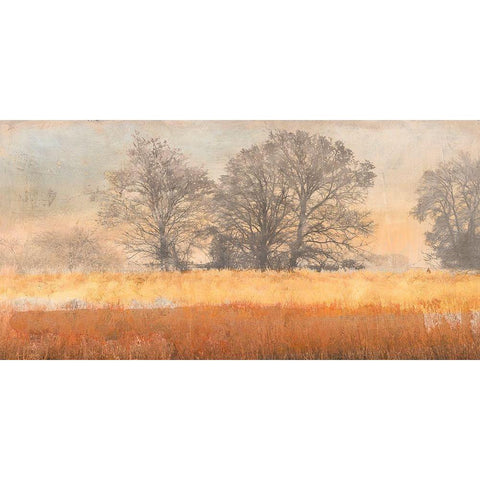 Trees in the Mist Gold Ornate Wood Framed Art Print with Double Matting by Aprile, Alessio