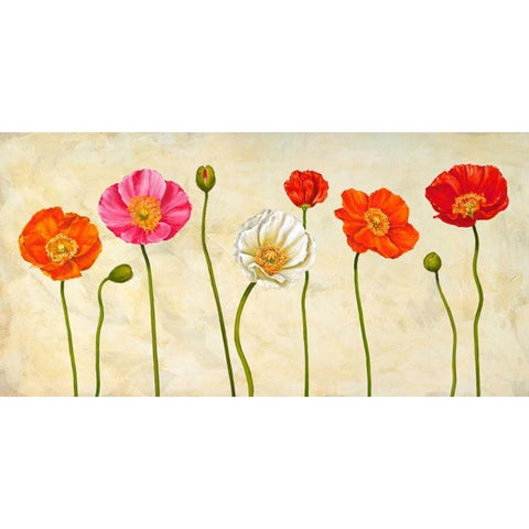 Coquelicots Black Modern Wood Framed Art Print with Double Matting by Ann, Cynthia