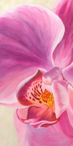 Purple Orchids I Black Ornate Wood Framed Art Print with Double Matting by Ann, Cynthia