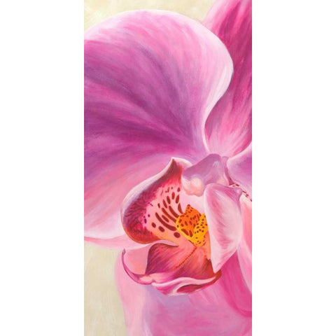 Purple Orchids I Black Modern Wood Framed Art Print by Ann, Cynthia