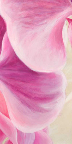 Purple Orchids II White Modern Wood Framed Art Print with Double Matting by Ann, Cynthia