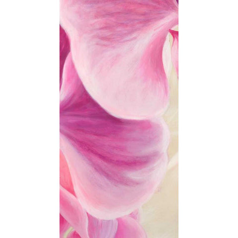 Purple Orchids II Black Modern Wood Framed Art Print with Double Matting by Ann, Cynthia