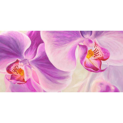 Purple Orchids Black Modern Wood Framed Art Print by Ann, Cynthia