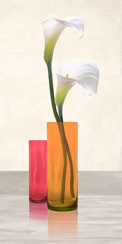 Callas in crystal vases II White Modern Wood Framed Art Print with Double Matting by Cynthia, Ann