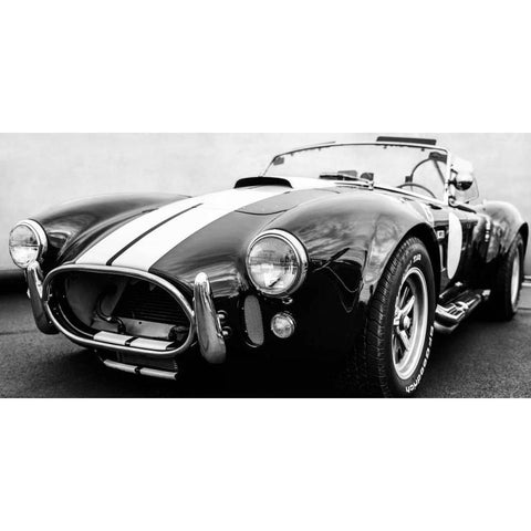 Black Cobra Black Modern Wood Framed Art Print with Double Matting by Gasoline Images