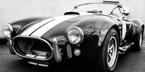 Black Cobra White Modern Wood Framed Art Print with Double Matting by Gasoline Images