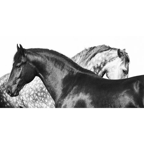 Lovers Black Modern Wood Framed Art Print by Pangea Images