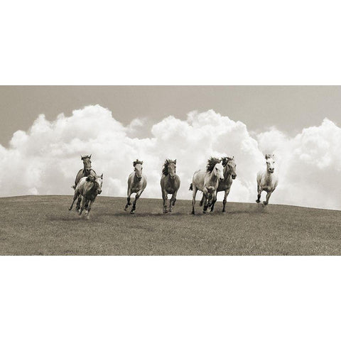 Herd of wild horses (BW) White Modern Wood Framed Art Print by Pangea Images