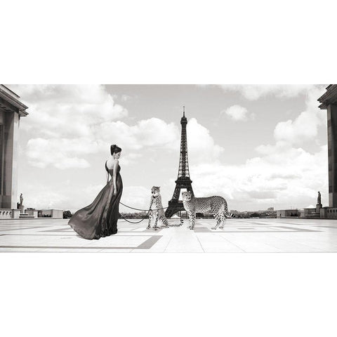 Trocadero View Black Modern Wood Framed Art Print with Double Matting by Lauren, Julian