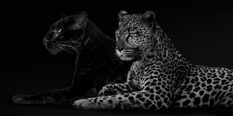 Brotherhood White Modern Wood Framed Art Print with Double Matting by Lauren, Julian