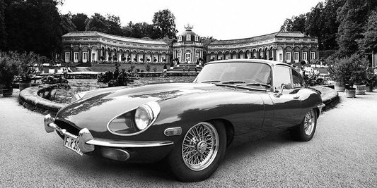 Image Only