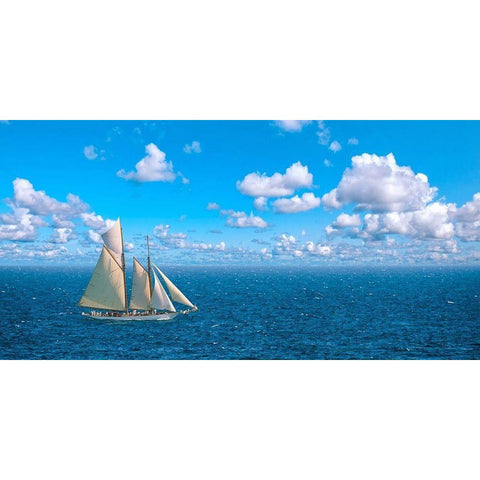 Ocean Sailing White Modern Wood Framed Art Print by Pangea Images