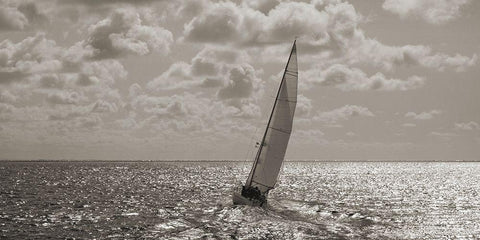 Sailing (detail) Black Ornate Wood Framed Art Print with Double Matting by Pangea Images