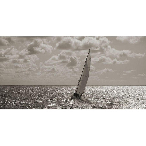 Sailing (detail) Black Modern Wood Framed Art Print with Double Matting by Pangea Images