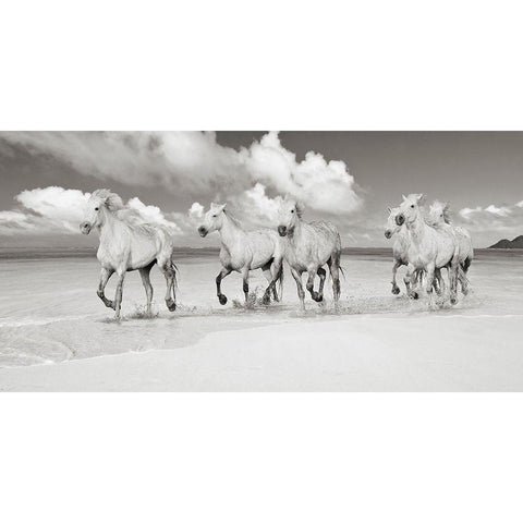 Band of Brothers- Lanikai Beach- Hawaii (BW) Gold Ornate Wood Framed Art Print with Double Matting by Pangea Images