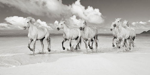 Band of Brothers- Lanikai Beach- Hawaii (BW) White Modern Wood Framed Art Print with Double Matting by Pangea Images