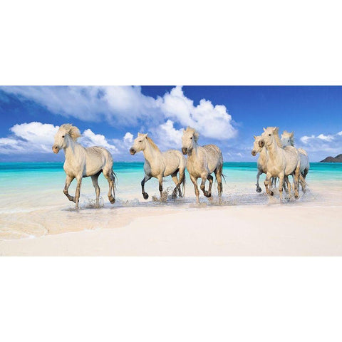 Band of Brothers- Lanikai Beach- Hawaii Black Modern Wood Framed Art Print by Pangea Images