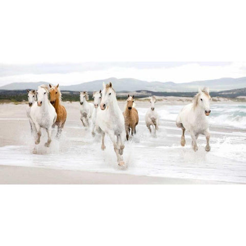 Horses on the beach Black Modern Wood Framed Art Print by Zero Creative STUDIO