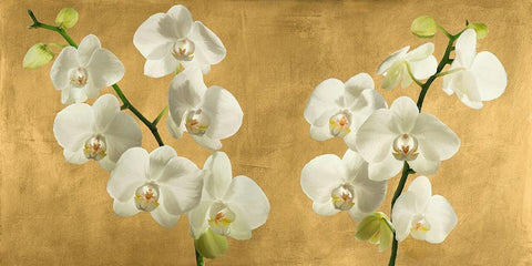 Orchids on a Golden Background Black Ornate Wood Framed Art Print with Double Matting by Antinori, Andrea
