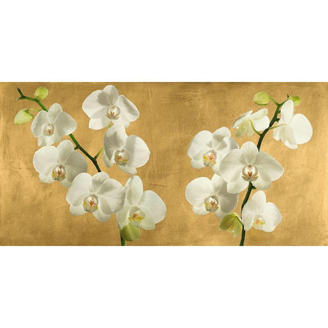 Orchids on a Golden Background Black Modern Wood Framed Art Print by Antinori, Andrea