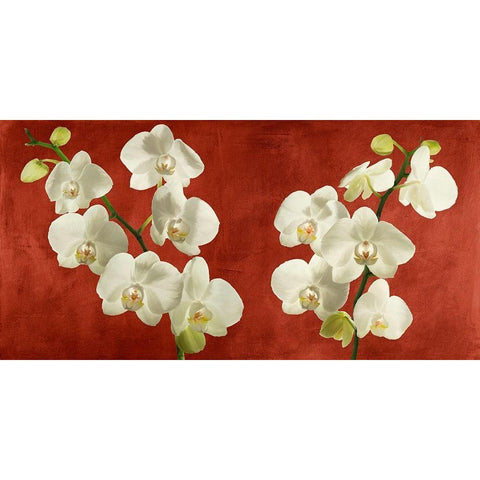 Orchids on Red Background Gold Ornate Wood Framed Art Print with Double Matting by Antinori, Andrea