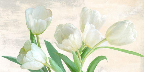 Into the Light White Modern Wood Framed Art Print with Double Matting by Vinci, Alex