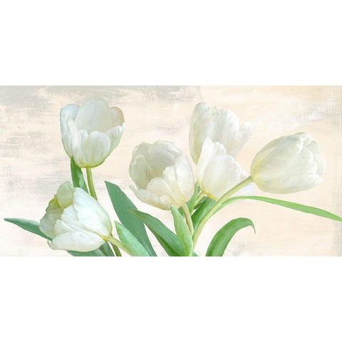 Into the Light White Modern Wood Framed Art Print by Vinci, Alex