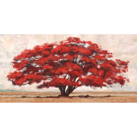 Silva White Modern Wood Framed Art Print by Bacci, Leonardo
