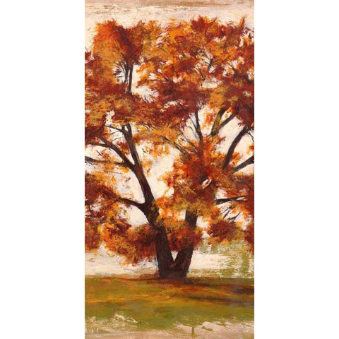 Mattino II Black Modern Wood Framed Art Print by Bacci, Leonardo