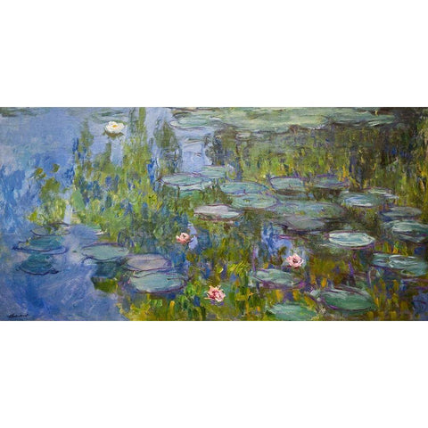 Water Lilies White Modern Wood Framed Art Print by Monet, Claude