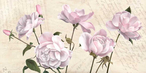 Classica I White Modern Wood Framed Art Print with Double Matting by Dellal, Remy