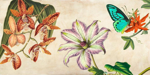 Panneau Botanique I Black Ornate Wood Framed Art Print with Double Matting by Dellal, Remy