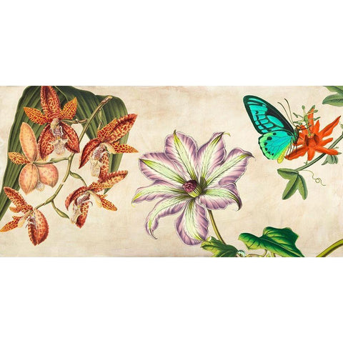 Panneau Botanique I White Modern Wood Framed Art Print by Dellal, Remy