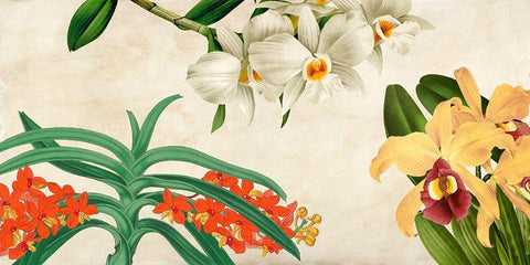 Panneau Botanique III White Modern Wood Framed Art Print with Double Matting by Dellal, Remy