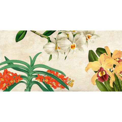 Panneau Botanique III Black Modern Wood Framed Art Print by Dellal, Remy