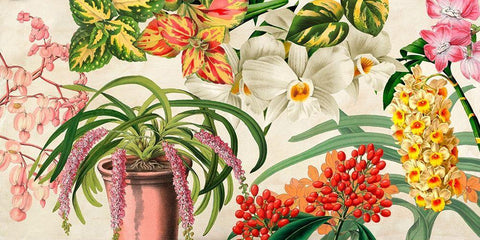 Panneau Botanique IV White Modern Wood Framed Art Print with Double Matting by Dellal, Remy