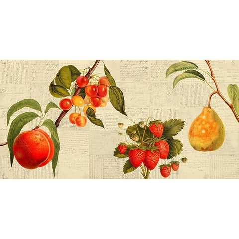Fruits de saison Black Modern Wood Framed Art Print with Double Matting by Dellal, Remy