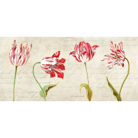 Botaniques Moderne White Modern Wood Framed Art Print by Dellal, Remy