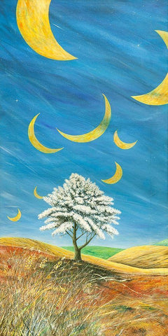 Lune cadenti White Modern Wood Framed Art Print with Double Matting by Larotonda, Donato