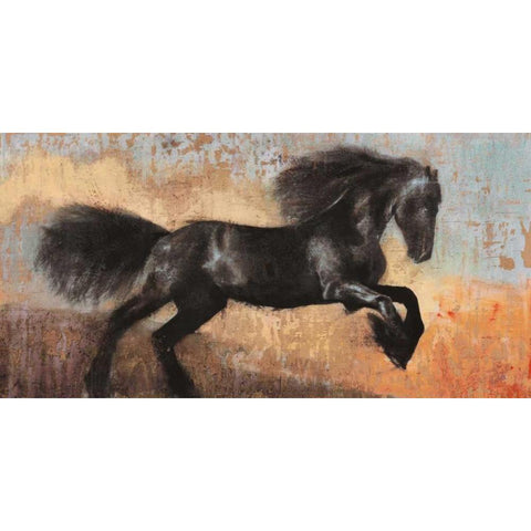 Black Stallion White Modern Wood Framed Art Print by Moschetta, Dario