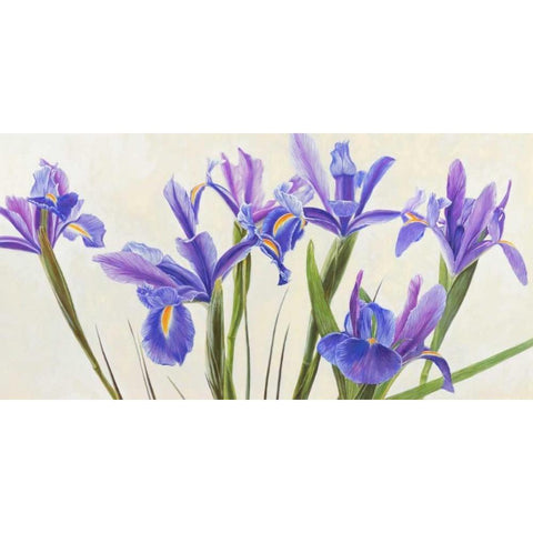 Iris Gold Ornate Wood Framed Art Print with Double Matting by Dolci, Elena