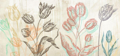 Botaniques Cochin 1 (coleurs) Black Ornate Wood Framed Art Print with Double Matting by Eric, Chestier